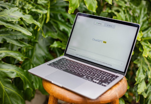 Photo of laptop in the garden by Andrew James Ferris